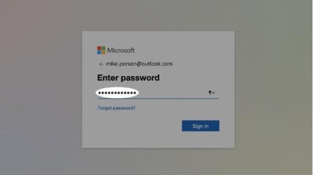 2. Enter your password and select Next.
