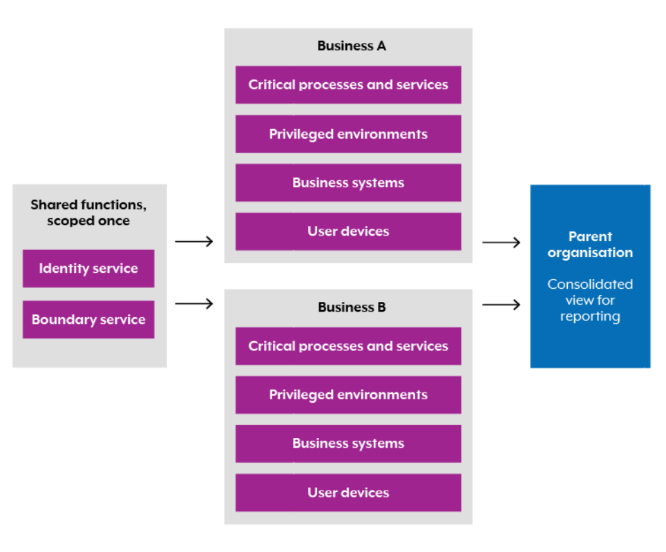 Shared functions, scoped once: Identity service, boundary service. Two businesses with their own critical processes and services, privileged environments, business systems, and user devices. Consolidated view for reporting at the parent organisation. 