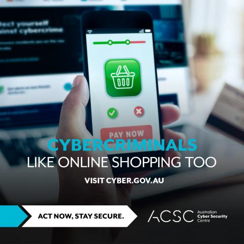 Cyber criminals like online shopping too